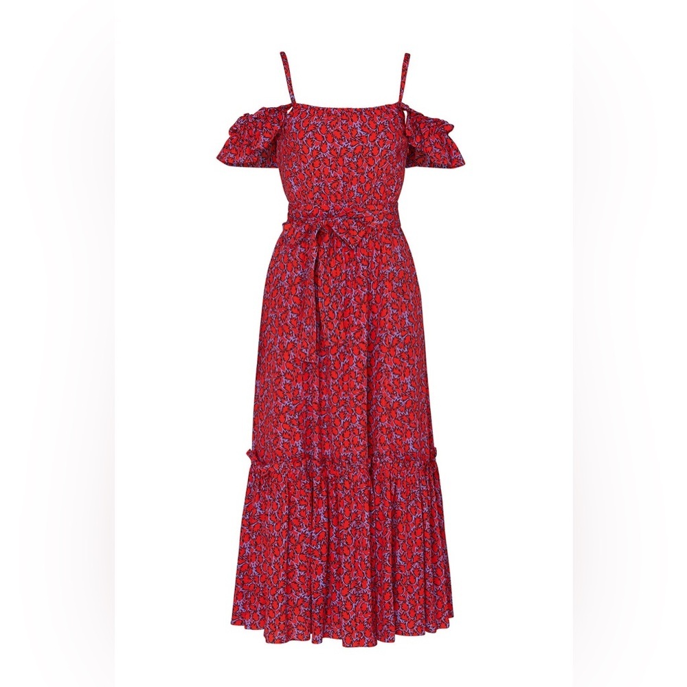 Derek Lam 10 Crosby Iris Poppy Ruffle Silk Blend Maxi Dress